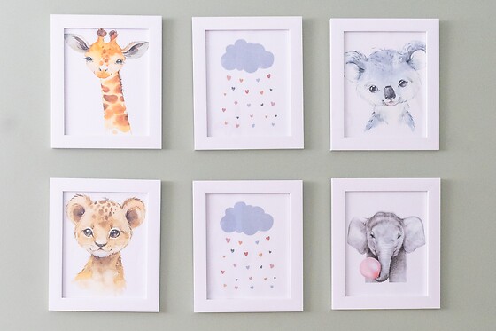 Momentum Concept - photo 5