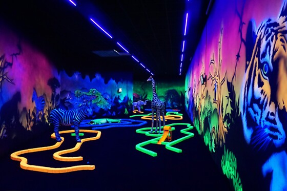 Partie de golf indoor avec repas en famille - Goolfy - Anse (69)