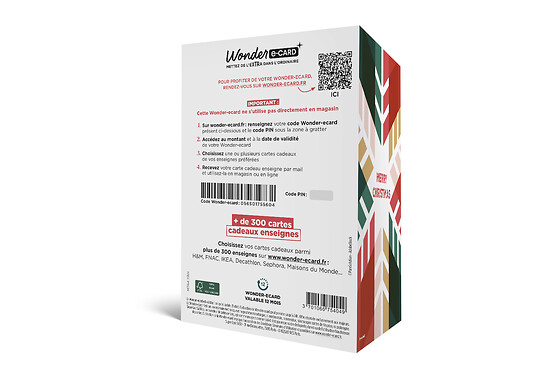 Carte de vœux 2 en 1 Merry Christmas Flocon