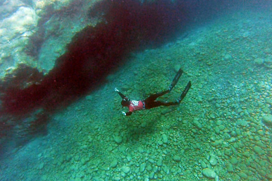 AVENTURA EN CANARIAS - photo 24