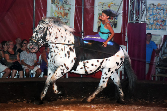 Esprit de Cirque - photo 4