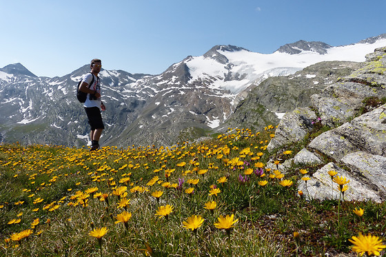 Hotel Kristall-Saphir Saas*** - photo 11