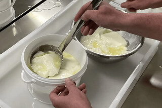 Atelier fromage fermier à Ozouer-le-Voulgis (77)