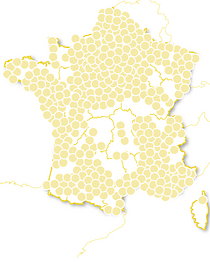 Happy Day
