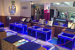 Instant Fish Spa