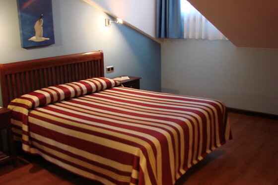 HOTEL BUFON DE ARENILLAS - photo 7
