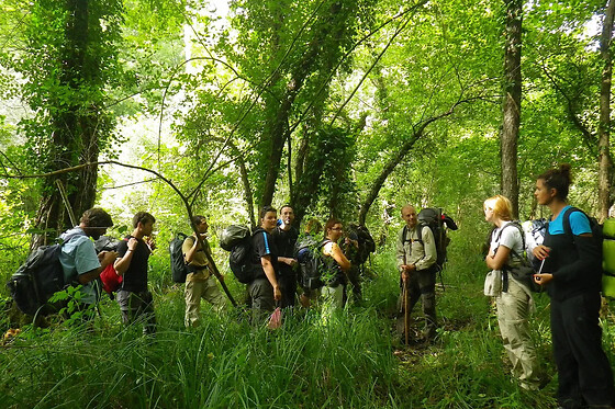 Stage de survie en milieu forestier en Dordogne (24)