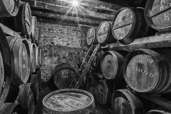 Visite et dégustation de Cognac à Saint-Saturnin (16) - Visite / Dégustation, les secrets du cognac  - 1h30