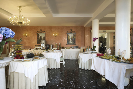 Viktoria Palace Hotel - photo 5