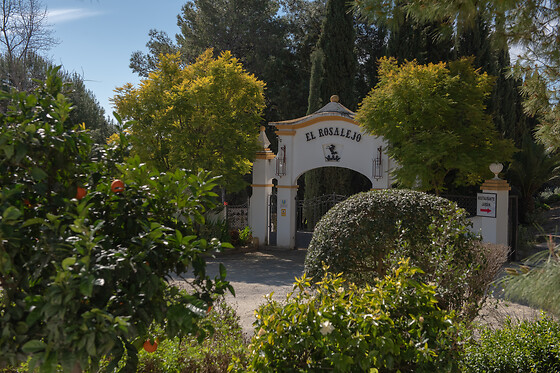 HACIENDA EL ROSALEJO - photo 8