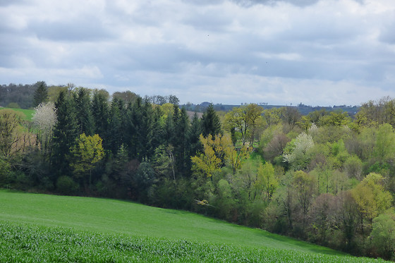 La Bastide - photo 7