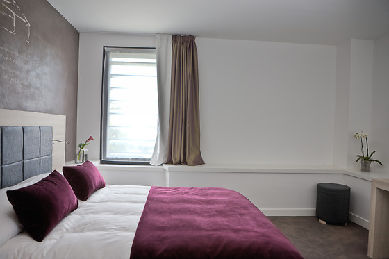 Séjour au Best Western Hôtel et Spa Villa Saint-Antoine**** à Clisson (44)