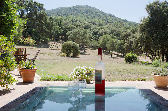 Les Figuiers - photo 14