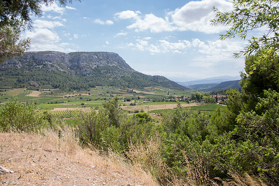 Domaine Vents du Sud - photo 7