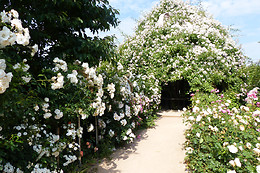 Terra Botanica