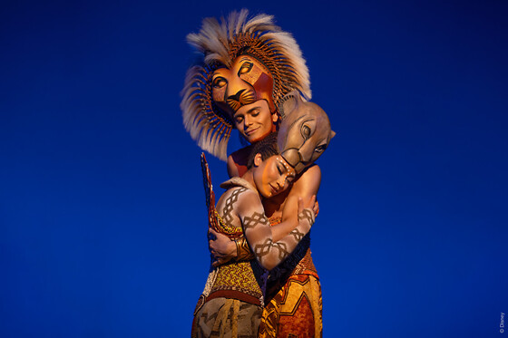 Le Roi Lion - 1 Place