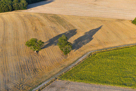 Art Montgolfières - photo 10