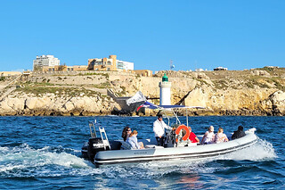 Balade En Bateau Aux Îles Du Frioul Depuis Marseille