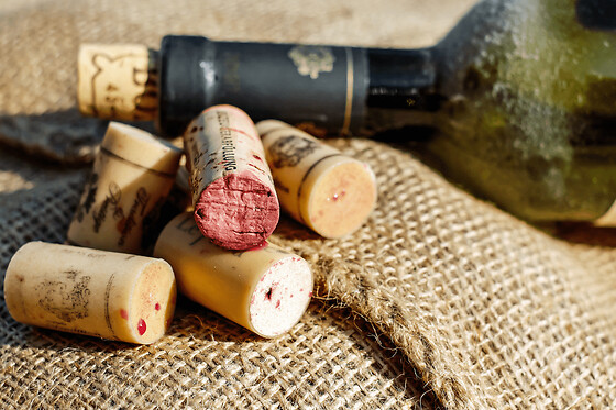 Atelier oenologie au Musée du Vin et du Négoce (33)