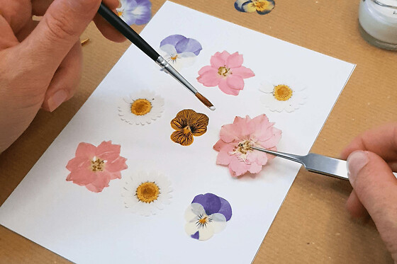 Atelier création d'un herbier à l'Aiguillon-sur-Vie (85)