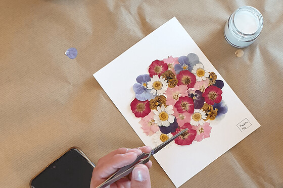 Atelier création d'un herbier à l'Aiguillon-sur-Vie (85)