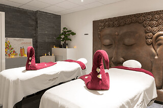Massage à Plaisir (78)