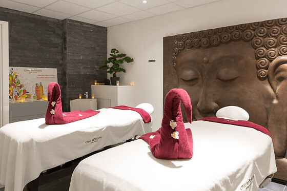 Massage à Plaisir (78)