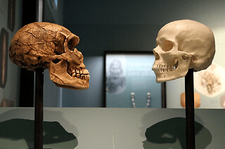 Grotte & Cité de la Préhistoire à Orgnac-l'Aven (07)