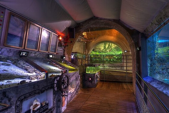 Billet pour l'Aquarium refuge de Limoges (87)