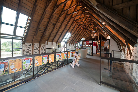 Maison de la Salers - photo 6