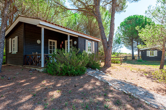 La Villa Vicha - photo 1