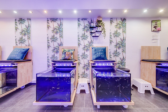 Instant Fish Spa - photo 4