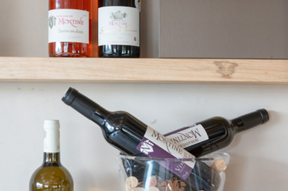 Dégustation de vin pour 2 au Domaine de Montine à Grignan (26)