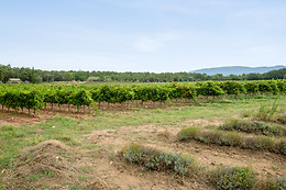 Domaine de Montine