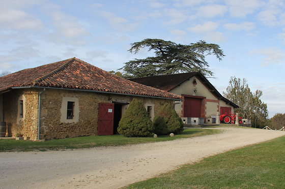 Atelier d’œnologie au Château Garreau à Labastide-d'Armagnac (40)