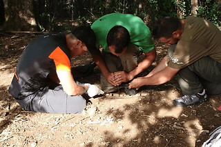 Stage de survie en milieu forestier proche de Bordeaux (40)