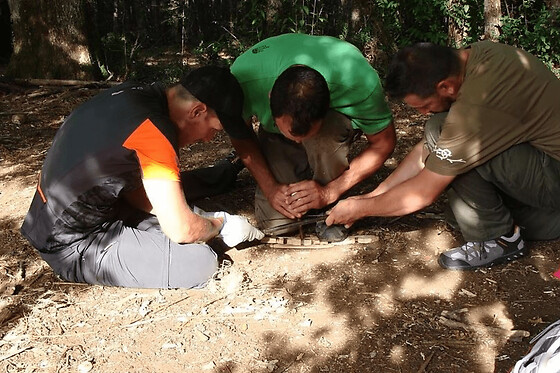 Stage de survie en milieu forestier proche de Bordeaux (40)
