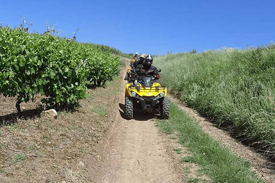 Randonnée Buggy à Couches dans les vignobles bourguignons - Randonnée Buggy Plaisir - 1 heure