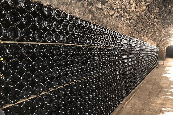 Visite guidée et dégustation de Champagne à Pierry (51)