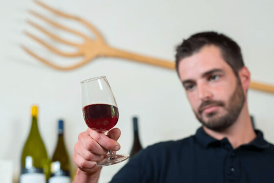 Cours d'oenologie au Domaine JP Rivière à Lachassagne (69)