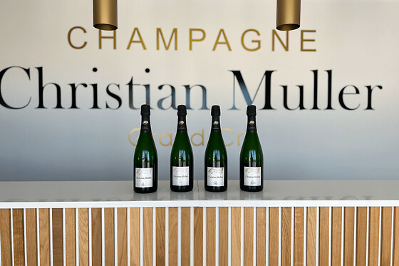 Visite & dégustation de Champagne à Mailly-Champagne (51)