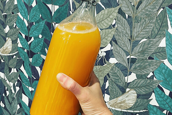 Atelier fermentation de Kéfir à Paris 20ème