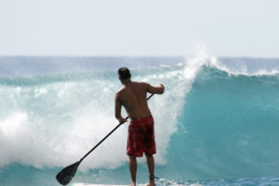 Wave School - photo 28