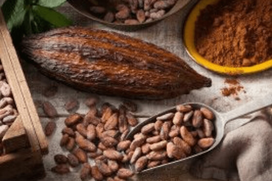 Atelier dégustation de chocolat à Paris 2ème