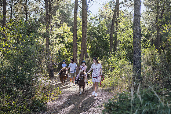Center Parcs - 4 jours & 3 nuits