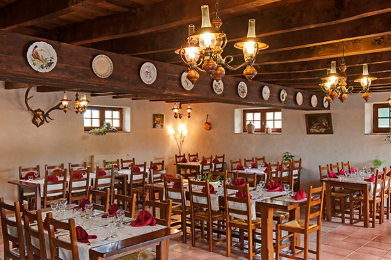 Ferme  des pirodelles - photo 11