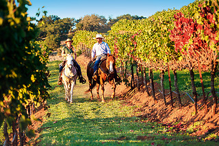 Balade à cheval en duo