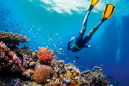SOTACERO DIVING