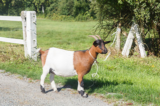 Séjour en cabane pour 2 au Domaine des Vaulx à La Baconnière (53)