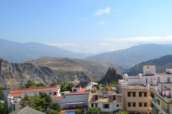 HOTEL ANDALUCIA DE LANJARON - photo 27